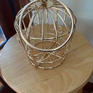Chic Gold Wire Cage Bag